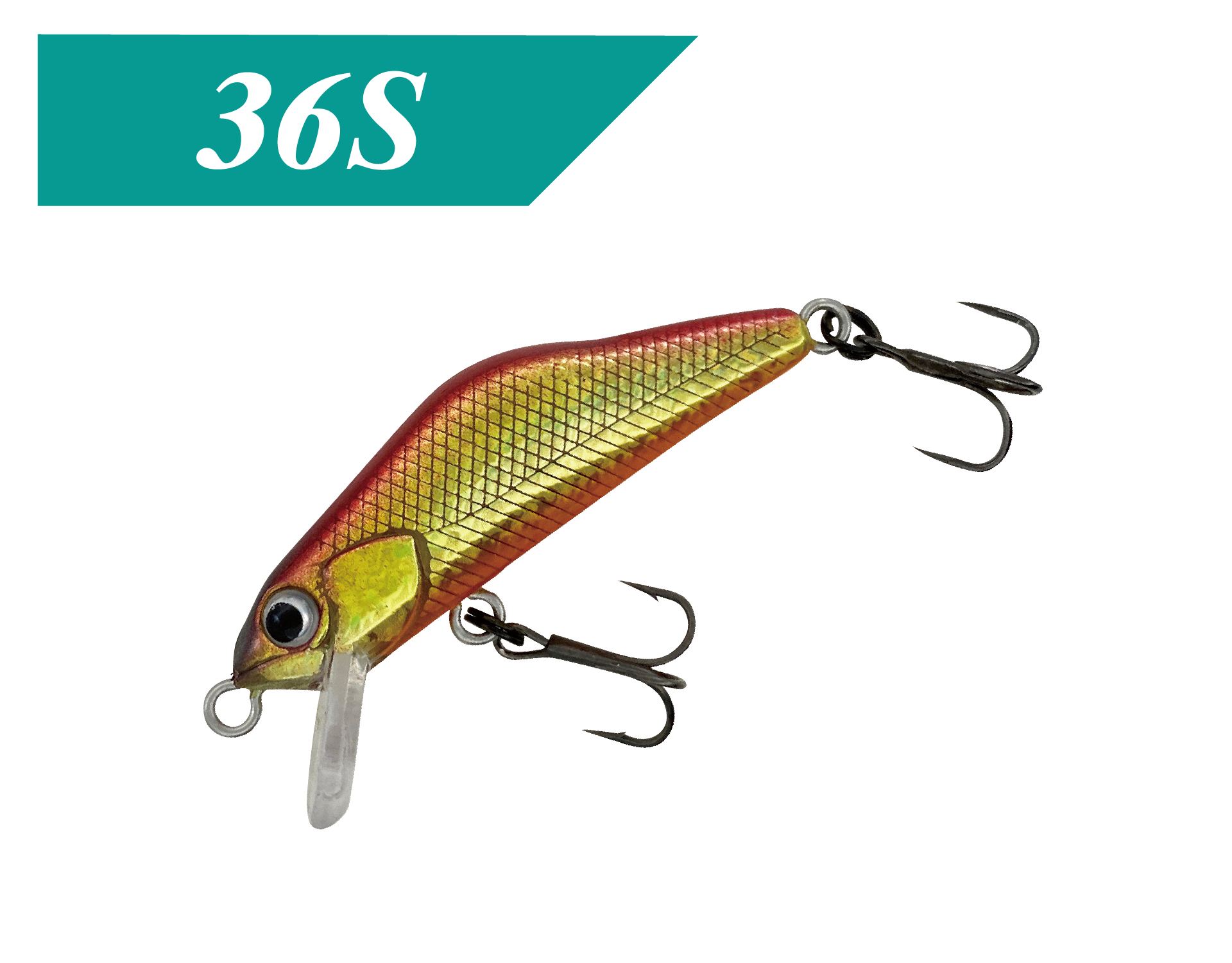 T-Gravits36S / ティーグラヴィッツ36S